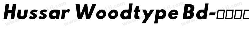 Hussar Woodtype Bd字体转换
